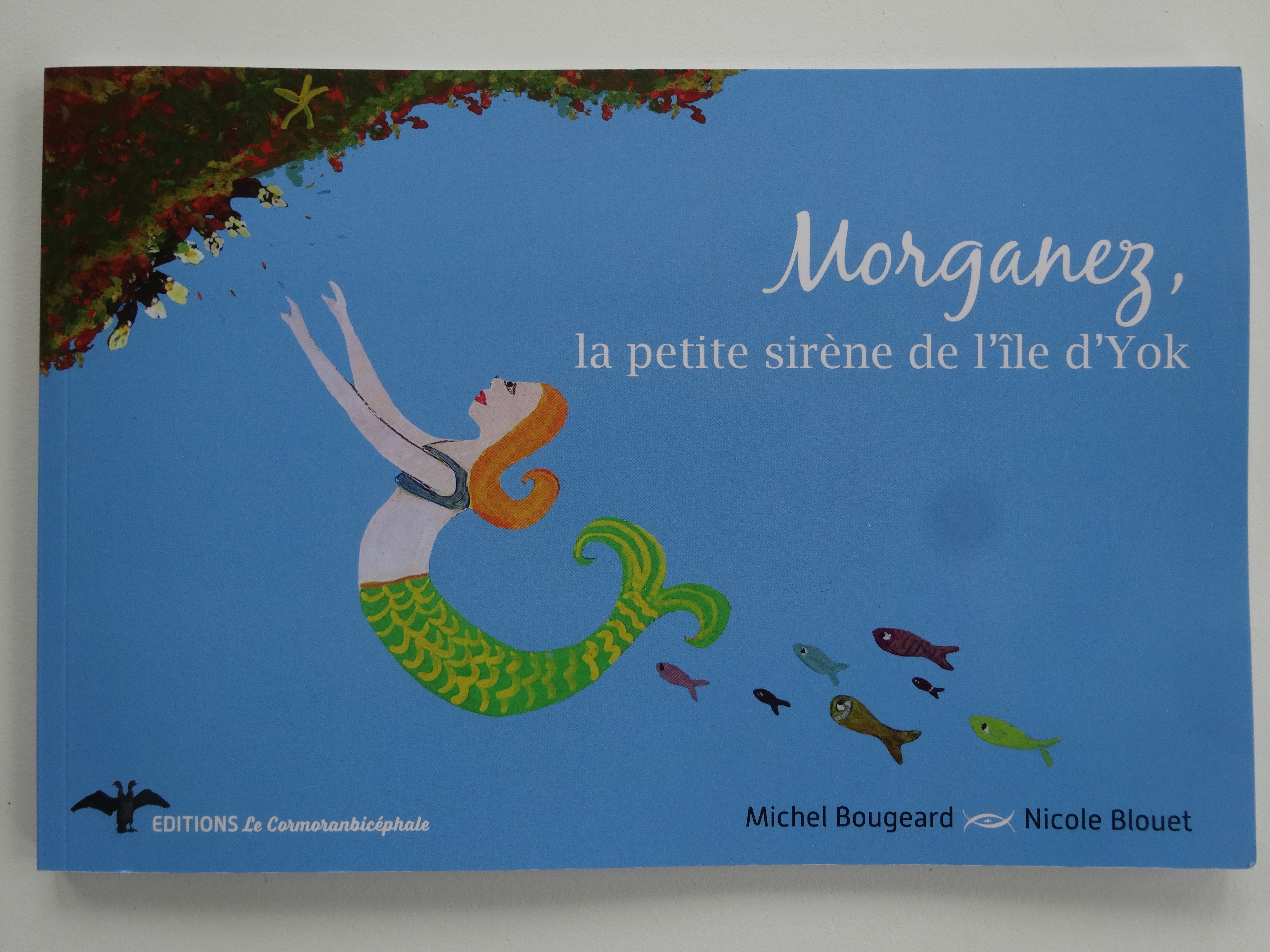 Morganez, la petite sirène de l’île d’Yok (Michel Bougeard)