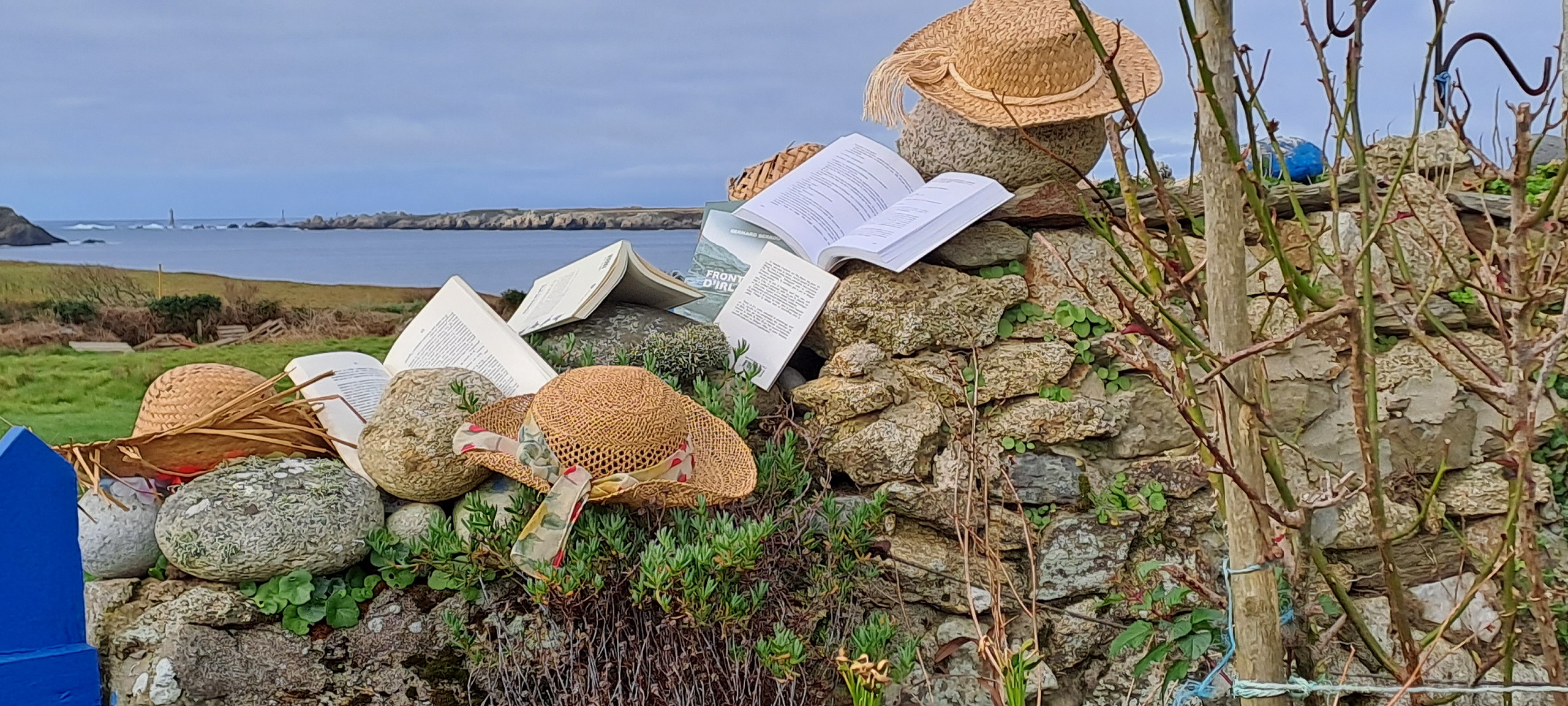 Livre Insulaire Ouessant
